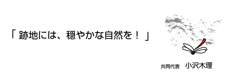 ノーフェンス　共同代表　小沢木理　メッセージ　「」跡地には、穏やかな自然を！